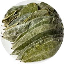 Load image into Gallery viewer, Bulk Organic Soursop Leaves (20 leaves)