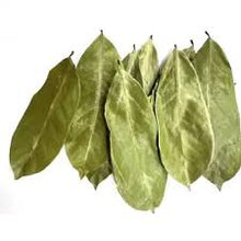 Load image into Gallery viewer, Bulk Organic Soursop Leaves (20 leaves)
