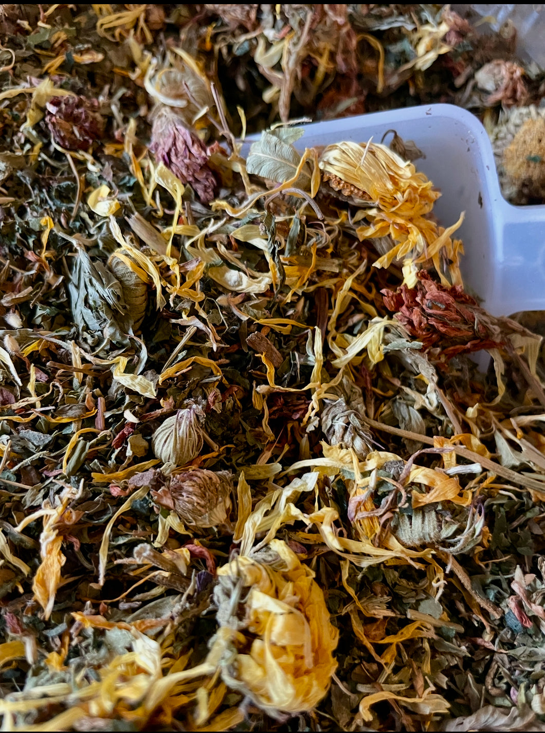 Lymphatic Tea Blend